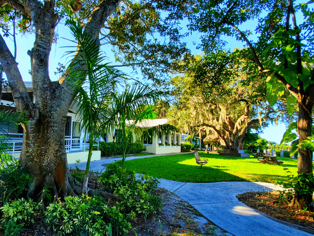 Florida addiction treatment
