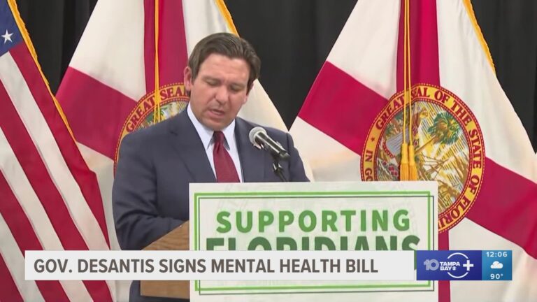 What is the New Mental Health Law in Florida
