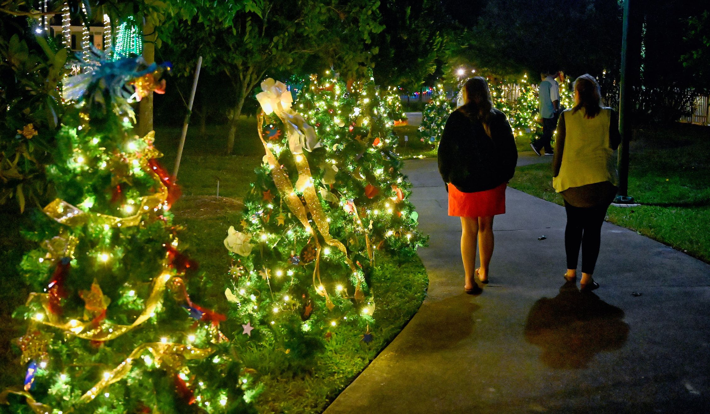 mental health support Holiday Season 2025